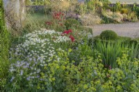 View of summer flowering borders in a modern country garden - June
