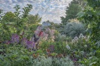 View of mixed perennials in a country garden border in August