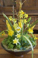 Floral arrangement of Narcissus and Tulipa