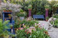 Small London garden in spring with tulip collection