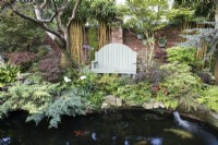 Overlooking a garden pond to bench and shady border planted with bamboo, Acer, conifers and ferns
