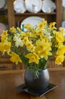 Floral arrangement of Narcissus in a vase