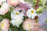 Detail of bouquet with Cosmos 'Fizzy White' , Amberboa 'The Bride, Daucus 'Dara', Nicotiana and Nigella