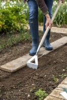 Using a hoe to prepare soil for sowing seeds