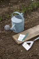 Watering can, plank of wood, hoe, plant label and a packet of Daucus carota 'Rainbow mix' Carrot seeds laid out on the ground