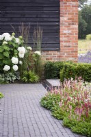 Path of Lucca brick pavers by Chelmer Valley edged with persicaria in July