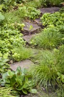 Informal path through shade planting including Carex remota in July