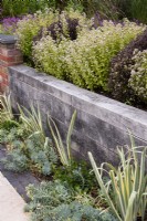 Oak sleepers used as a retaining wall with planting including Iris pallida 'Aurea Variegata', Euphorbia myrsinites, and above Origanum vulgare 'Thumble's Variety' in July