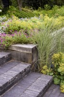 Steps of Lucca brick pavers softened with Miscanthus sinensis 'Morning Light' and Alchemilla mollis, with Geranium Ã— riversleaianum 'Russell Prichard' above, in July