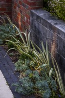 Border illuminated by lights set into retaining walls of brick and timber in a July garden.