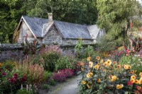 Late summer planting in walled garden, with Dahlias, grasses and cannas