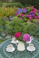 Hydrangeas and garden table with morning coffee. July Summer