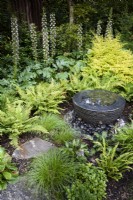 Layered slate water feature surrounded by lush planting including hostas, Dryopteris erythrosora 'Brilliance', Carex remota and Acanthus mollis Latifolius Group 'Rue Ledan' in July