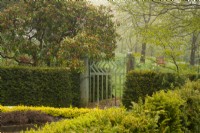  Taxus baccata - Yew hedge and a diamond pattern gate at High Moss