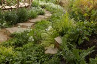 A curved path of stepping stones around a laminated bamboo seating area surrounded by planting including Dryopteris affinis, Astrantia major 'Shaggy', Sangusorbia tenculiflora 'Alba' and Acorus gramineus 'Orgon'.