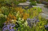 Autumnal planting around a water feature in the M  and  G Garden, a shared urban space.  Plants include Aster cordifolius, Amsonia illustrius and Artemisia lactiflora.