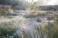 View of the Mediterranean area in the contemporary walled Paradise Garden, in Autumn. Planting includes Stipa lessingiana, Salvia 'Little Spire', Catananche caerulea, Rosa Glauca, Stipa gigantea, Calamintha nepeta 'Blue Cloud', Melica ciliata and Cotinus 'Flame'