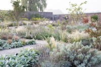 View of the Mediterranean area in the contemporary walled Paradise Garden, in Autumn. Planting includes Stipa lessingiana, Rosa Glauca,  Stachys byzantina â€˜Big Earsâ€™ and Artemisia â€˜Powis Castleâ€™ 