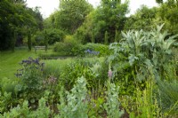 Mixed borders of Iris sibirica 'Flight of Butterflies', Digitalis and Aquilegia next to a pond