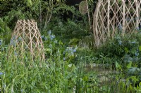 Guangzhou Garden with bamboo structures with water in between.  Plants include:  Equisetum hyemale, Menyanthes trifoliata, Pontederia cordata and Nymphaeaceae sp. 

