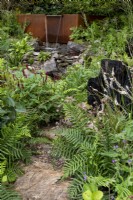 The Yeo Valley Organic Garden, with Athyrium filix-femina - ferns and Persicaria amplexicaulis 'Blackfield' lining the path to the feature water fall. 