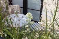Balcony of Blooms with Centranthus ruber 'Albus', Oenothera lindheimeri and Panicum virgatum 'Rehbraun' growing by the garden table and chairs placed on the balcony. 