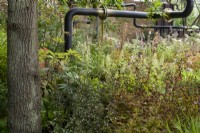 M and G Garden, transforms an urban wasteland, incorporating the old pipes which are softend  by the plants. 