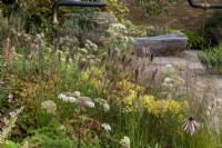 M and G garden has transformed a industrial space into green oasis. Plants include:  Pennisetum alopecuroides 'Cassian', Echinacea pallida and Cenolophium denudatum. 
