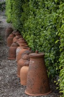 A line up of rhubarb and kale terra cotta forcing pots by the fruit trees.