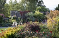 Autumn in the Walled Garden at Holehird, Cumbria. View over mixed border to border of shrubs and climbers against the wall.

