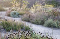 View of the Mediterranean area in the contemporary walled Paradise Garden, in Autumn. Planting includes Rosa Glauca, Stipa gigantea, Calamintha nepeta 'Blue Cloud', Cotinus 'Flame', Salvia 'Negrito', Allium sphaerocephalon, Anthemis, Iris and Helictotrichon sempervirens