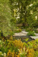 A shared urban space planted with trees and autumnal perennials around stone paving and a small pool. Perennials include: Amsonia illustris, Artemisia lactiflora and  Aruncus horatio.