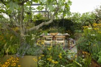 A dining table under Ficus carica surrounded by perennials.