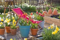 Deck chair on patio with spring flower containers.