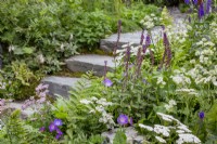 Plants soften the sides of steps carved from rock leading up a gravel pathway. Including Salvia nemerosa 'Caradonna', Veronica longifolia, Astrantia major 'Star of Billion', Geranium 'Rozanne', and a white form of Achillea. Bodmin Jail: 60degrees East - A Garden between Continents.