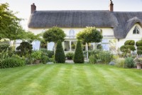 Lawn in July surrounded by clipped evergreens outside a thatched cottage
