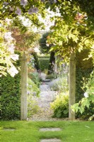 Path into a gravel garden between wooden gateposts set into a yew hedge in July.