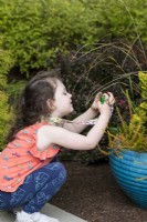 Young child taking photographs in garden