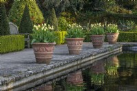 Pale yellow tulips flowering in large terracotta containers beside a pool in a formal Spring garden - April