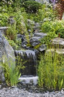 Waterfall cascades down rocks with a calm green, planting surrounding it. Foreground plants include water plantain Alisma plantago-aquatica, bulrush Typha lugdunensis, and fern Dryopteris filix-mas. Bodmin Jail: 60degrees East - A Garden between Continents.