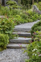 Steps carved from rock and lined with plants lead up a gravel path made from chipped rock. Plants include Pinus mugo 'Pumillo', Anemone x hybrida, Persicaria amplexicaulis, Salvia nemerosa 'Caradonna', Veronica longifolia, various Astrantia, and achillea. cloud-pruned Pinus mugo 'Gnom' at the back. Bodmin Jail: 60degrees East - A Garden between Continents.