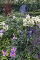 Mixed pastel planting in late summer with rocky monlith behind. Including Hydrangea, Anemone x hybrida, Salvia nemerosa 'Caradonna', Veronica longifolia, Astrantia major 'Abbey Road'. Bodmin Jail: 60degrees East - A Garden between Continents.