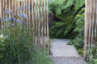 Planting combination of Hydrangea paniculata, Miscanthus sinensis, Astrantia and spires of Salvia uliginosa 'Ballon Azul' in front of carved louvred oak wall and entrance to secret garden beyond. Tree ferns, Dicksonia antarctica, and foliage of Dahlia campanulata, inside. Boodles Secret Garden.
