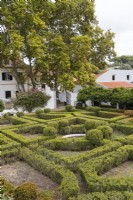 The Box Parterre - Jardim de Buxo. Low hedges and balls of box in poor condition with some plants dead or dying. View to the house and outbuildings. Seixal, near Setubal, Portugal. September