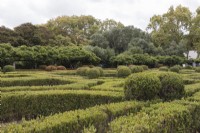The Box Parterre - Jardim de Buxo. Low hedges and balls of box in poor condition with some plants dead or dying. Seixal, near Setubal, Portugal. September