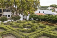 The Box Parterre - Jardim de Buxo. Low hedges and balls of box in poor condition with some plants dead or dying. View to the house. Seixal, near Setubal, Portugal. September