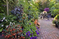 Relaxing area on paved patio amongst borders and containers planted with Fuchsia, Petunia, Surfinia, Begonia and Diascia.  