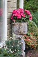Wooden container with Begonia.