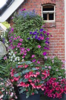 Hanging baskets and containers with Verbena, Petunia, Surfinia, Begonia and Pelargonium. 