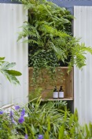 Vertical planting. The Hot Tin Roof Garden at Chelsea Flower Show 2021